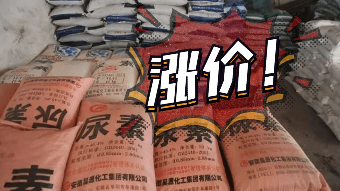 一噸再漲100元，將突破2800元！已經連續暴漲近400元！多地價格再創新高！9月14日（附最新報價）！